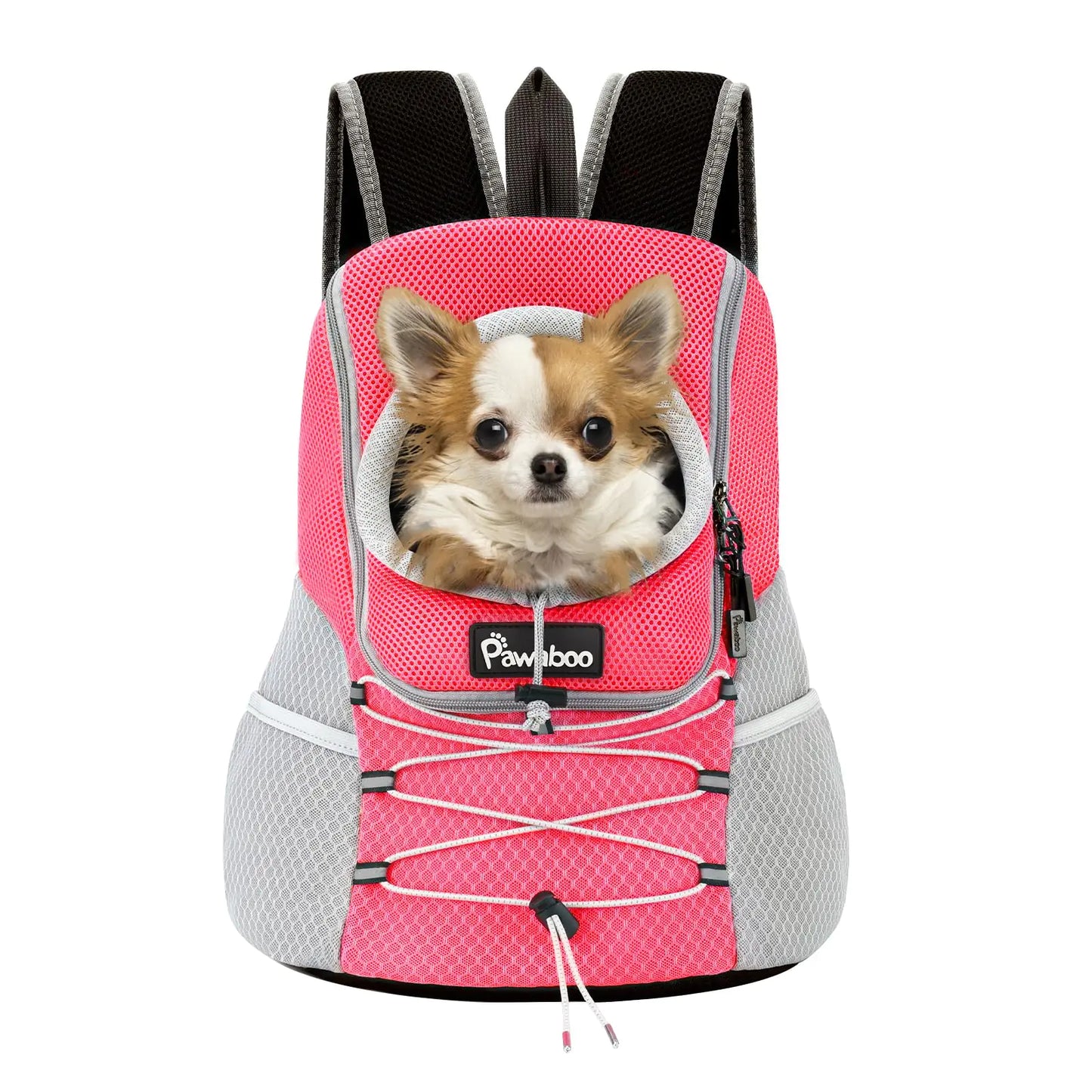 hundetransport Rucksack klein