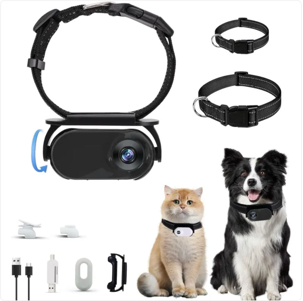 📹🐾 Pet Lux Lounge™ PetCam Mini HD Erleben Sie die Welt aus der Perspektive Ihres Haustiers