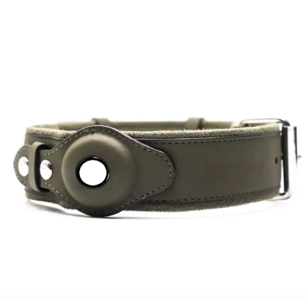 Hundehalsband aus Leder mit Ortungsfunktion
