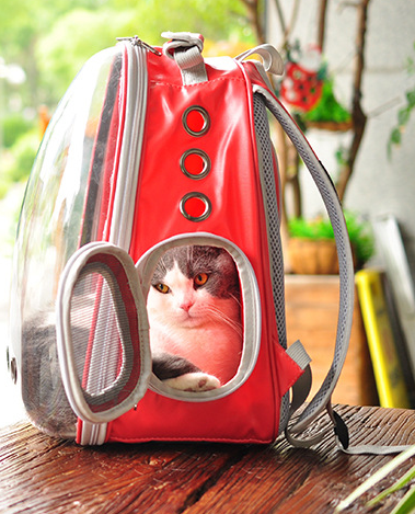 Katzen-Transportrucksack im Raumkapsel-Design für Reisen im Freien