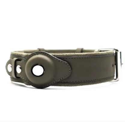 Hundehalsband aus Leder mit Ortungsfunktion