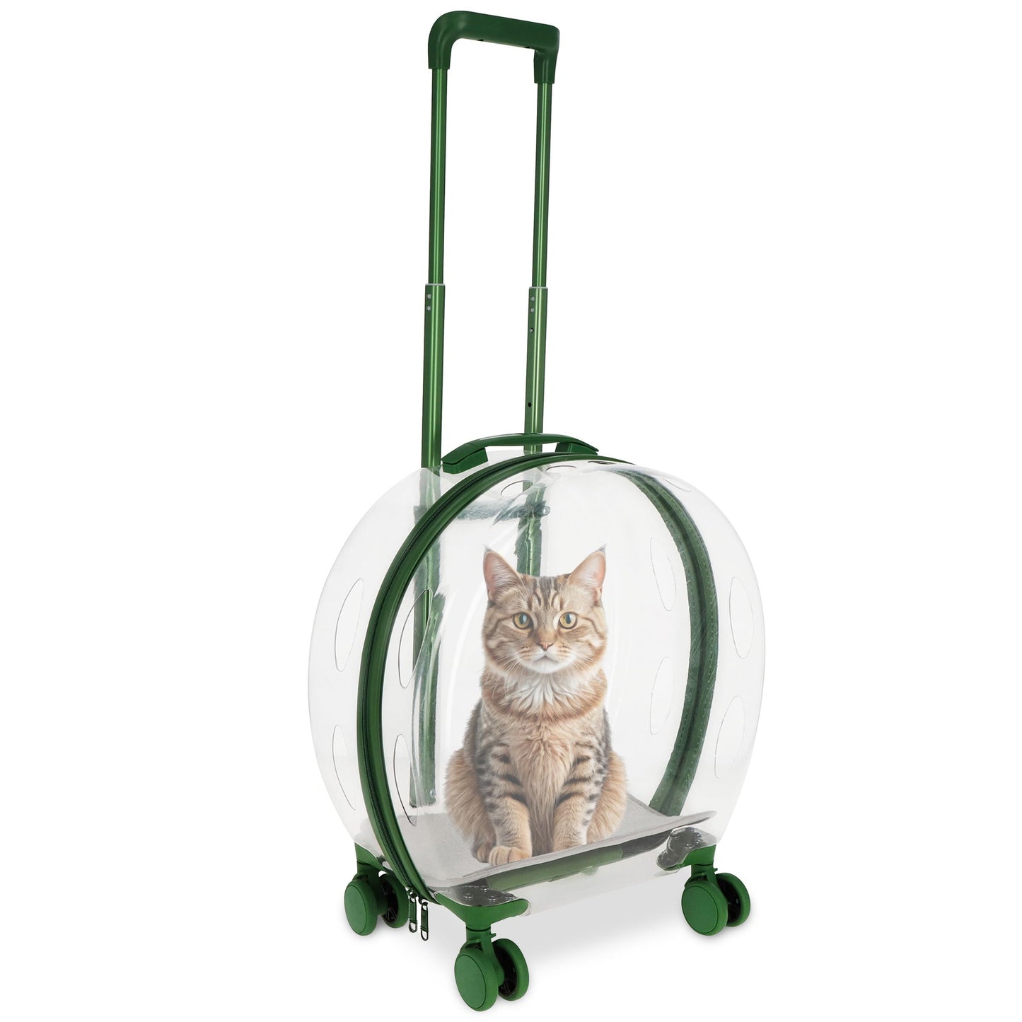Haustiertransportbox auf Rädern