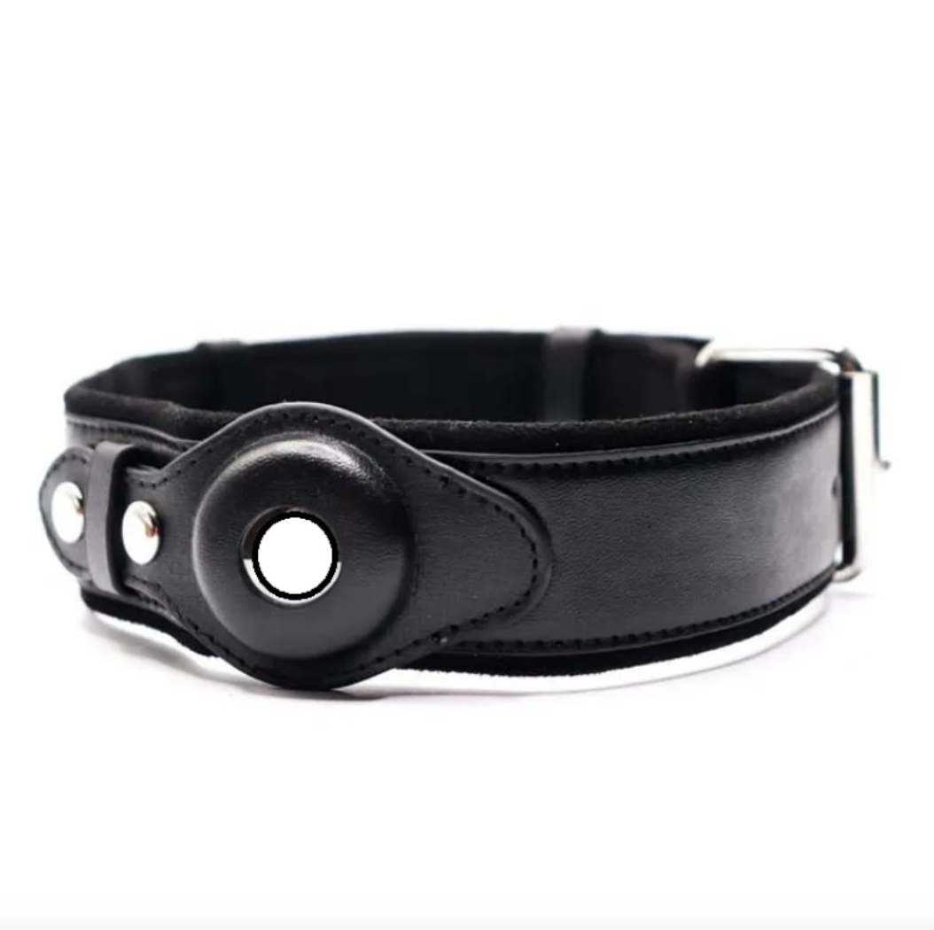 Hundehalsband aus Leder mit Ortungsfunktion