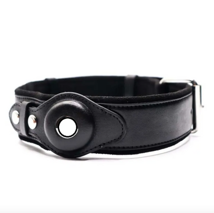 Hundehalsband aus Leder mit Ortungsfunktion