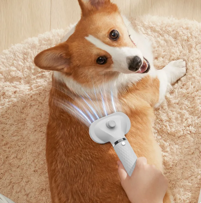 🐾 PawGroom™ 2-in-1 Haustier-Haartrockner & Pflegebürste