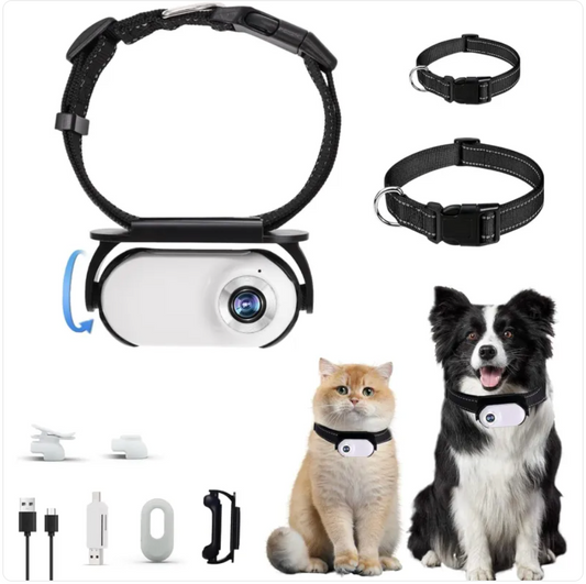 📹🐾 Pet Lux Lounge™ PetCam Mini HD Erleben Sie die Welt aus der Perspektive Ihres Haustiers