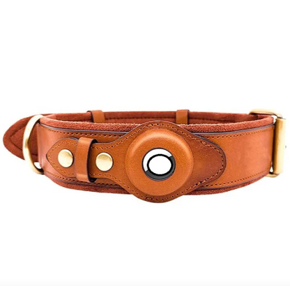 Hundehalsband aus Leder mit Ortungsfunktion