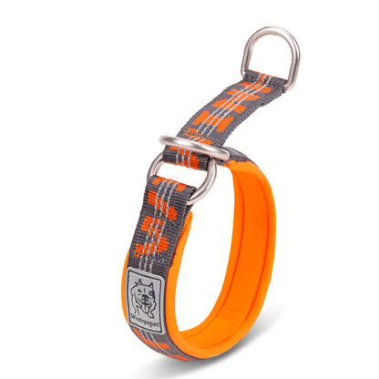 Hundehalsband klein kaufen