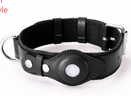 Hundehalsband aus Leder mit Ortungsfunktion