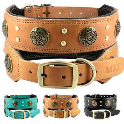 🐾 Pet Lux Lounge™ Premium Lederhalsband Deluxe
