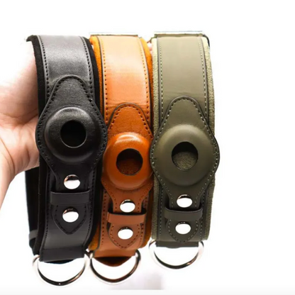 Hundehalsband aus Leder mit Ortungsfunktion