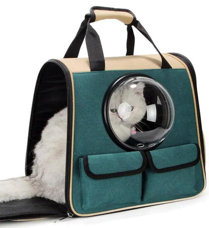 Hundereise Rucksack kaufen