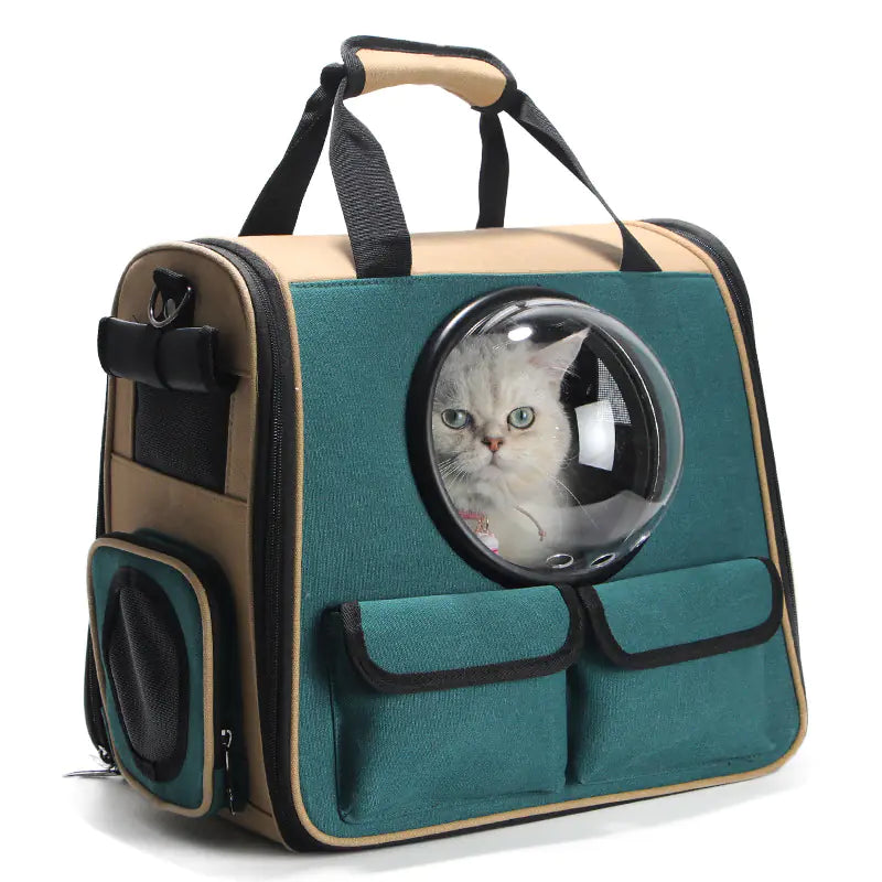 Hundereise Rucksack kaufen