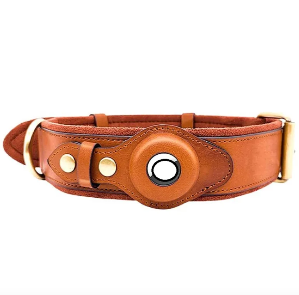 Hundehalsband aus Leder mit Ortungsfunktion