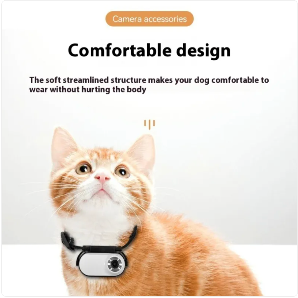 📹🐾 Pet Lux Lounge™ PetCam Mini HD Erleben Sie die Welt aus der Perspektive Ihres Haustiers