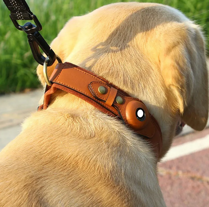 Hundehalsband aus Leder mit Ortungsfunktion